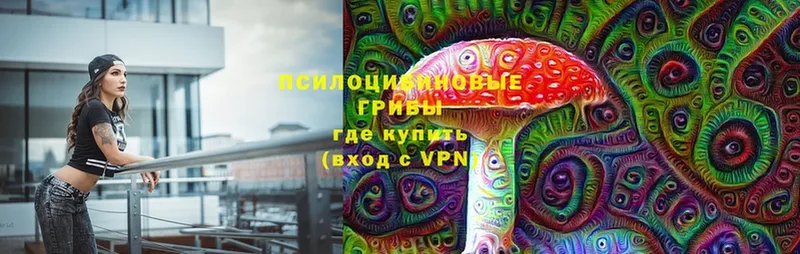 Псилоцибиновые грибы Cubensis  мориарти как зайти  Аркадак  закладка 